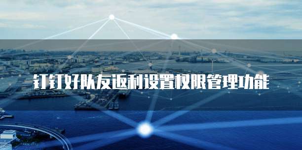 钉钉好队友返利设置权限管理功能