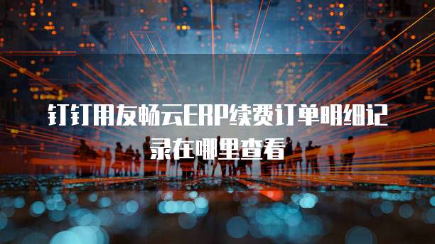 钉钉用友畅云ERP续费订单明细记录在哪里查看
