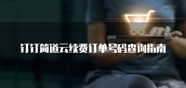 钉钉简道云续费订单号码查询指南