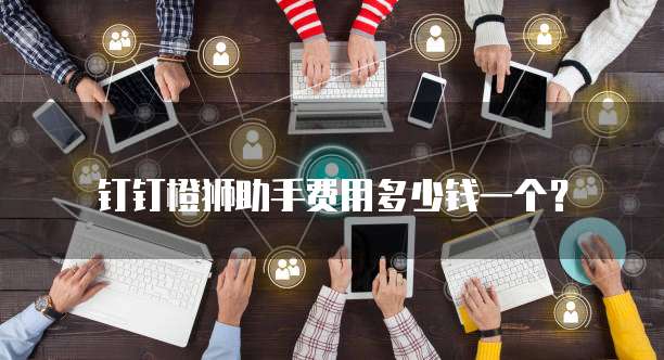 钉钉橙狮助手费用多少钱一个?