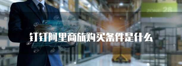 钉钉阿里商旅购买条件是什么