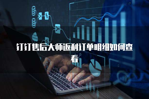 钉钉售后大师返利订单明细如何查看