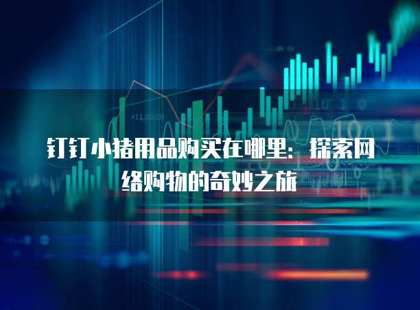 钉钉小猪用品购买在哪里:探索网络购物的奇妙之旅