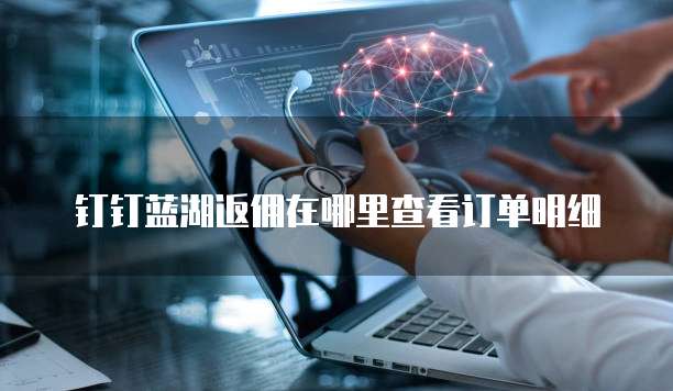 钉钉蓝湖返佣在哪里查看订单明细