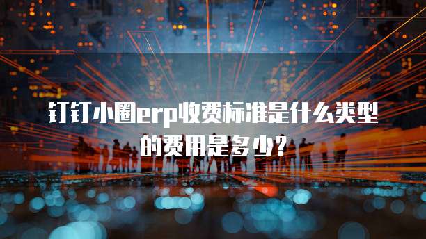 钉钉小圈erp收费标准是什么类型的费用是多少？