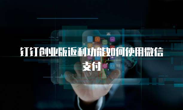 钉钉创业版返利功能如何使用微信支付