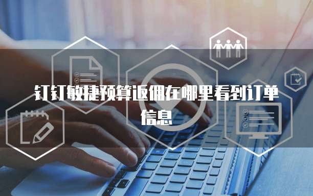 钉钉敏捷预算返佣在哪里看到订单信息