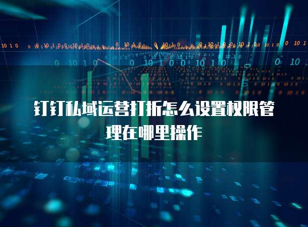 钉钉私域运营打折怎么设置权限管理在哪里操作