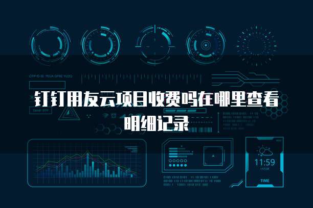 钉钉用友云项目收费吗在哪里查看明细记录