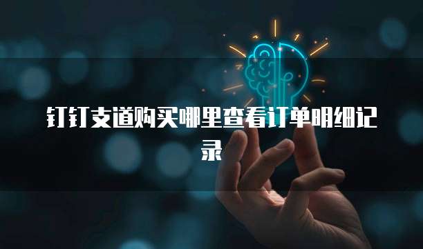 钉钉支道购买哪里查看订单明细记录