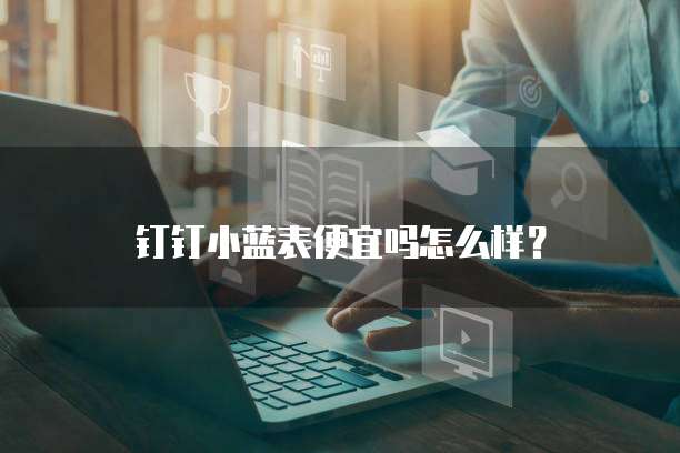 钉钉小蓝表便宜吗怎么样?