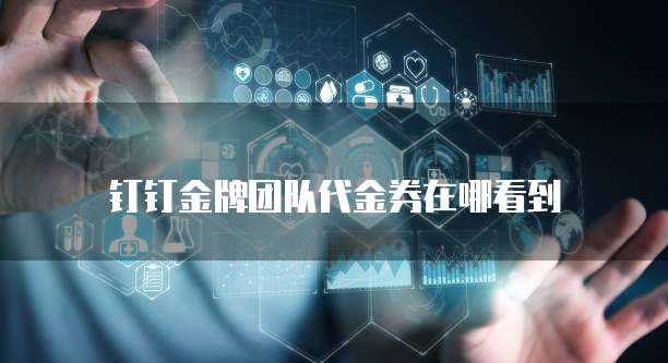 钉钉金牌团队代金券在哪看到