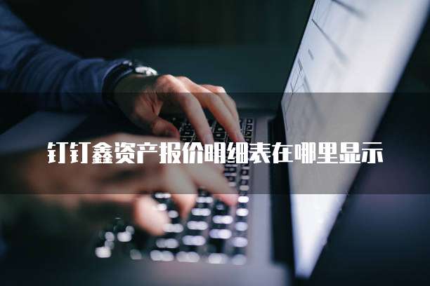 钉钉鑫资产报价明细表在哪里显示