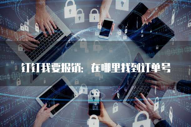 钉钉我要报销:在哪里找到订单号