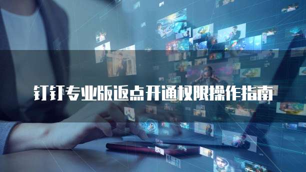 钉钉专业版返点开通权限操作指南