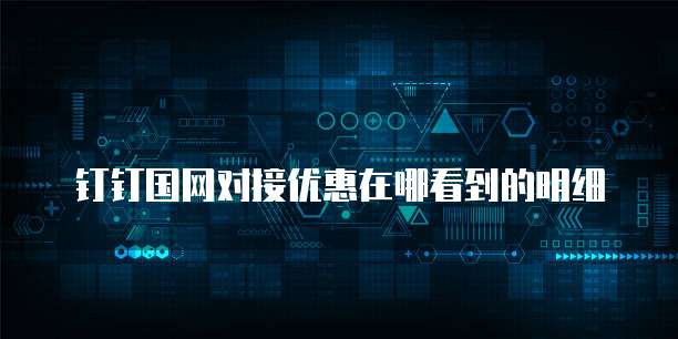 钉钉国网对接优惠在哪看到的明细