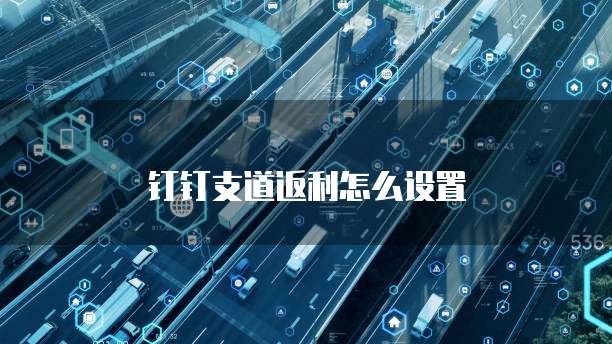 钉钉支道返利怎么设置