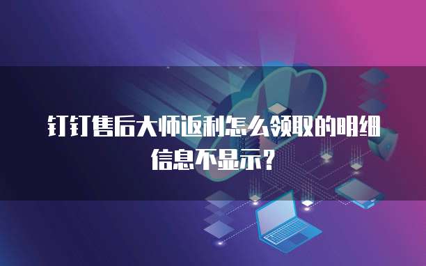 钉钉售后大师返利怎么领取的明细信息不显示？