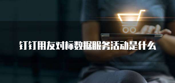 钉钉用友对标数据服务活动是什么