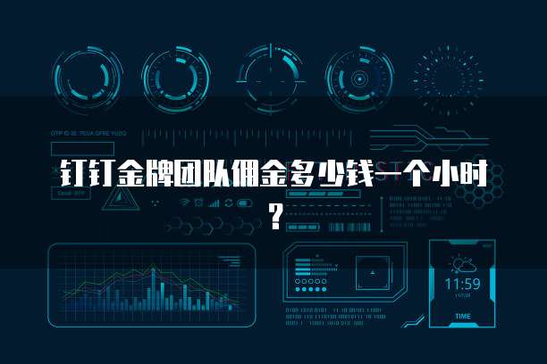 钉钉金牌团队佣金多少钱一个小时?