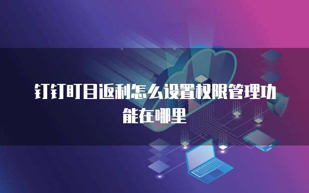钉钉盯目返利怎么设置权限管理功能在哪里