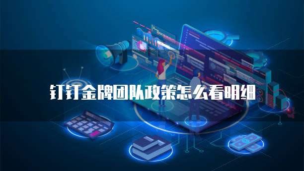 钉钉金牌团队政策怎么看明细