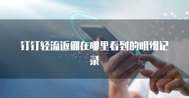 钉钉轻流返佣在哪里看到的明细记录
