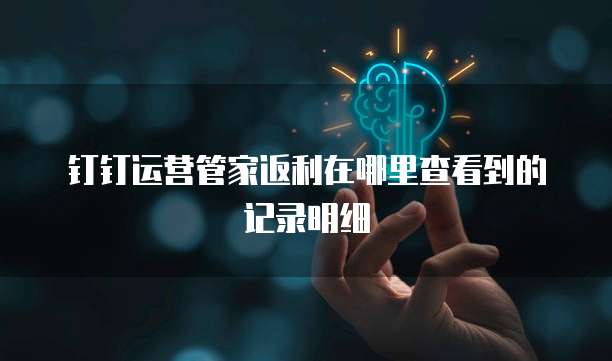 钉钉运营管家返利在哪里查看到的记录明细