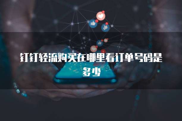 钉钉轻流购买在哪里看订单号码是多少