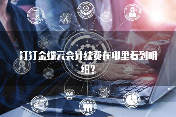 钉钉金蝶云会计续费在哪里看到明细?