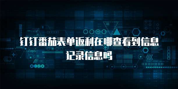 钉钉番茄表单返利在哪查看到信息记录信息吗
