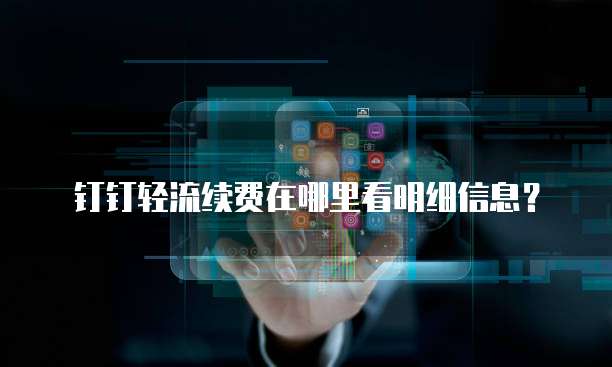 钉钉轻流续费在哪里看明细信息?