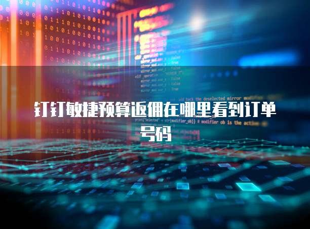钉钉敏捷预算返佣在哪里看到订单号码