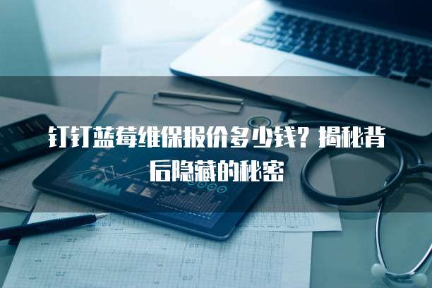 钉钉蓝莓维保报价多少钱?揭秘背后隐藏的秘密
