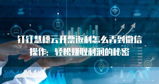 钉钉慧穗云开票返利怎么弄到微信操作:轻松赚取利润的秘密