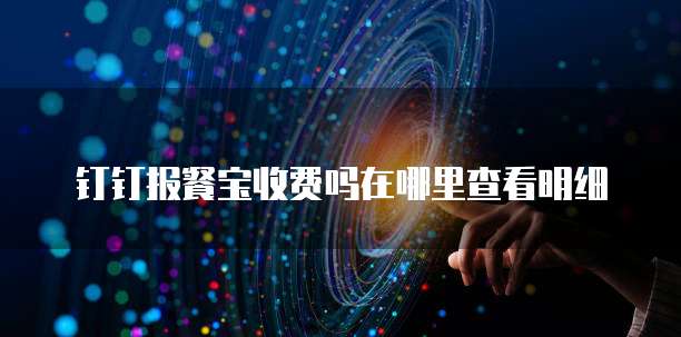 钉钉报餐宝收费吗在哪里查看明细