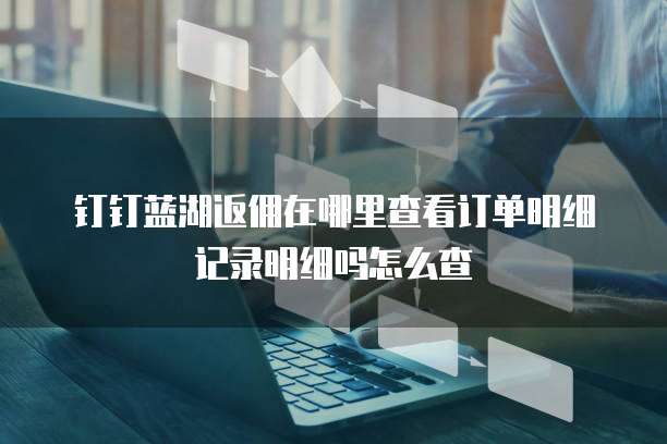 钉钉蓝湖返佣在哪里查看订单明细记录明细吗怎么查
