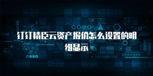 钉钉精臣云资产报价怎么设置的明细显示