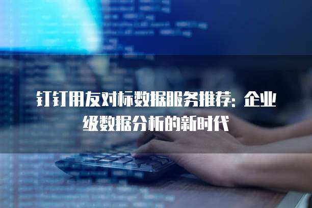 钉钉用友对标数据服务推荐: 企业级数据分析的新时代