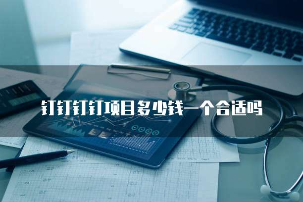 钉钉钉钉项目多少钱一个合适吗