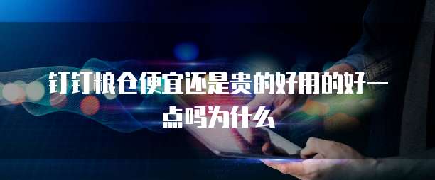 钉钉粮仓便宜还是贵的好用的好一点吗为什么