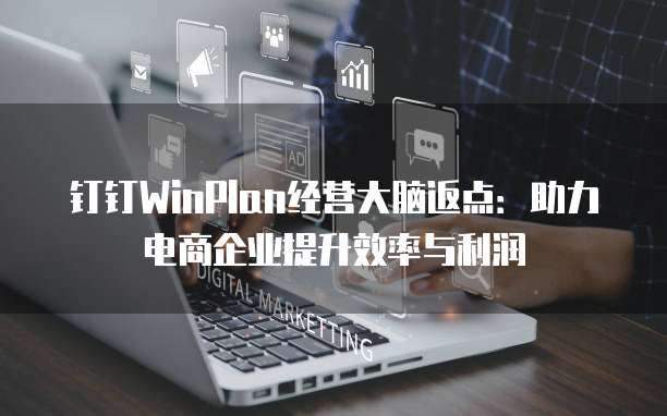 钉钉WinPlan经营大脑返点:助力电商企业提升效率与利润