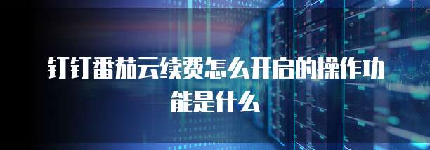 钉钉番茄云续费怎么开启的操作功能是什么