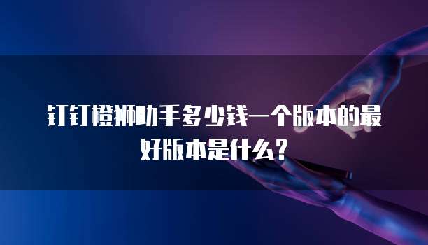 钉钉橙狮助手多少钱一个版本的最好版本是什么？