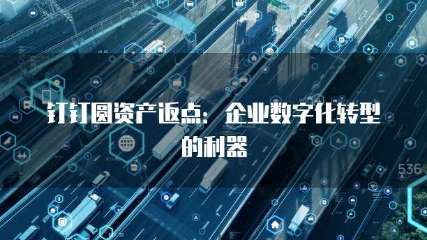 钉钉圆资产返点:企业数字化转型的利器