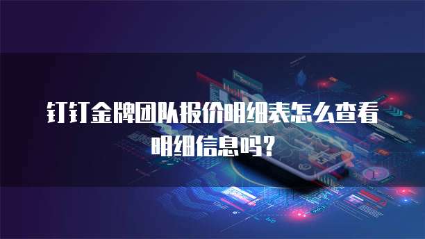 钉钉金牌团队报价明细表怎么查看明细信息吗?
