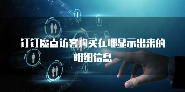 钉钉魔点访客购买在哪显示出来的明细信息