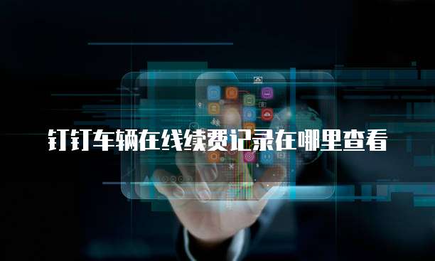 钉钉车辆在线续费记录在哪里查看