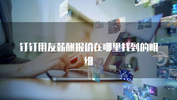 钉钉用友薪酬报价在哪里找到的明细