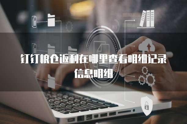 钉钉粮仓返利在哪里查看明细记录信息明细
